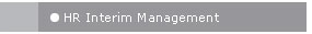 Interim HR Management